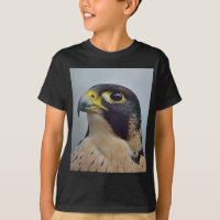 Majestic Peregrine falcon