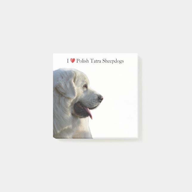 Majestic Polish Tatra Sheepdog Sticky Notes (Front)