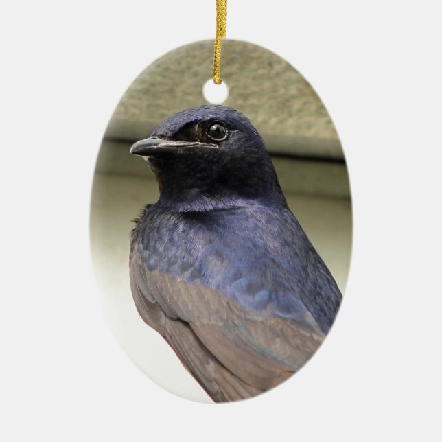 Majestic Purple Martin Ceramic Tree Decoration (Front)