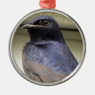 Majestic Purple Martin Metal Ornament
