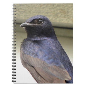 Majestic Purple Martin Notebook
