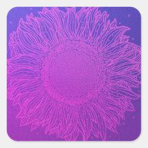 Majestic Purple Sunflower