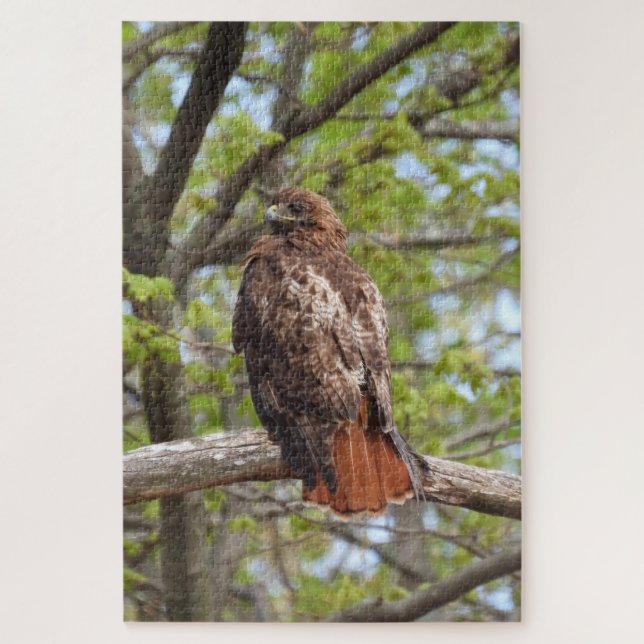 Majestic Red Tailed Hawk Jigsaw Puzzle (Vertical)