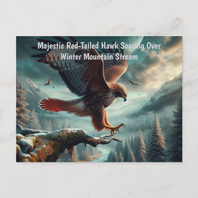 Majestic Red-Tailed Hawk Soaring Postcard (Front)