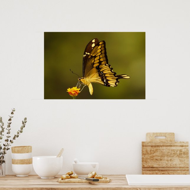 Majestic Reflection Poster (Kitchen)