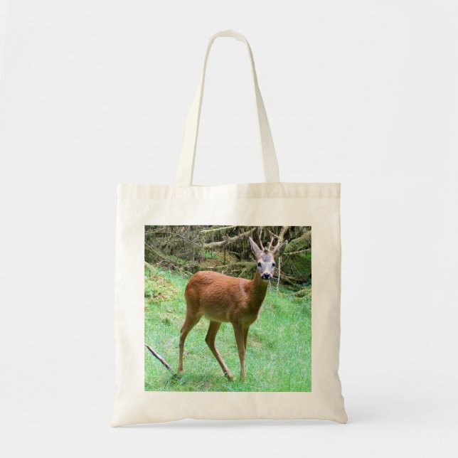 Majestic Roe Deer Buck Posing in Woodland Wildlife Tote Bag (Front)