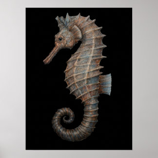 Majestic Seahorse Poster
