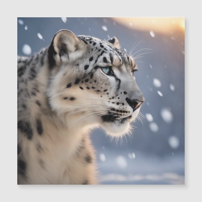 Majestic snow leopard heart of the winter storm (Front)