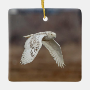 Majestic Snowy Owl of the Connecticut Coast Ceramic Ornament