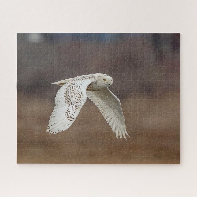 Majestic Snowy Owl of the Connecticut Coast Jigsaw Puzzle (Horizontal)