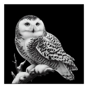 Majestic Snowy Owl Perched Poster
