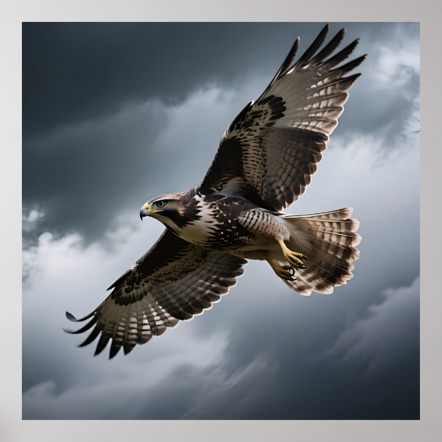 Majestic Soaring Hawk Storm Clouds Poster (Front)