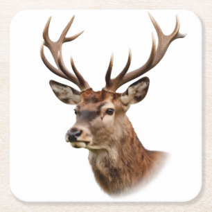 Majestic Stag Deer Portrait with Large Antlers Square Paper Coaster
