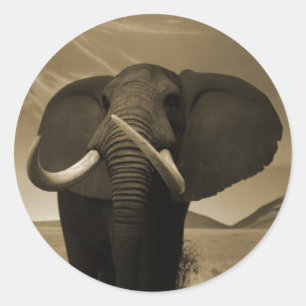 Majestic Stature Classic Round Sticker