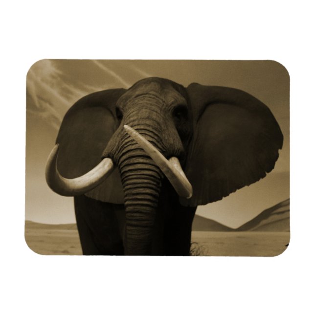 Majestic Stature Magnet (Horizontal)