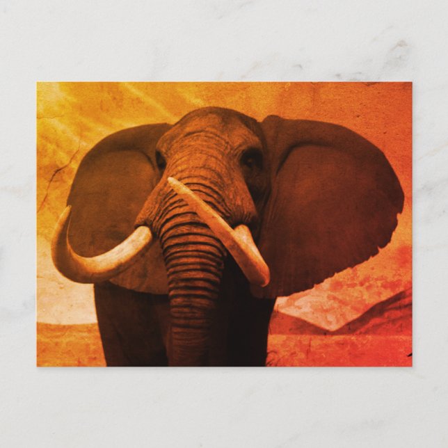 Majestic Stature Postcard (Front)