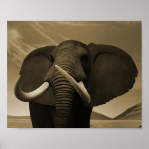 Majestic Stature Poster