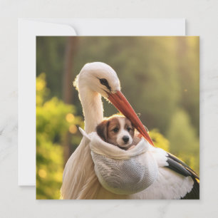 Majestic Stork Delivers New Puppy Golden Hour Art Holiday Card
