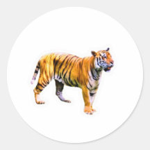 Majestic Sumatran Tiger - Endangered Wildlife Cons
