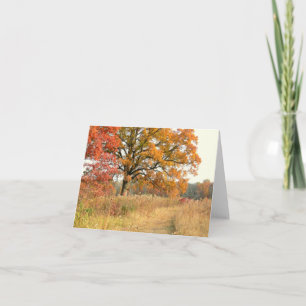 "MAJESTIC TREE WITH FALL COLOR ALONG PATH IN FIELD CARD