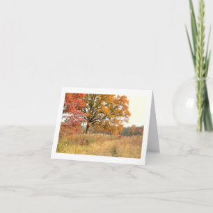"MAJESTIC TREE WITH FALL COLOR ALONG PATH IN FIELD CARD