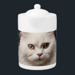 Majestic white cat<br><div class="desc">Majestic white cat</div>