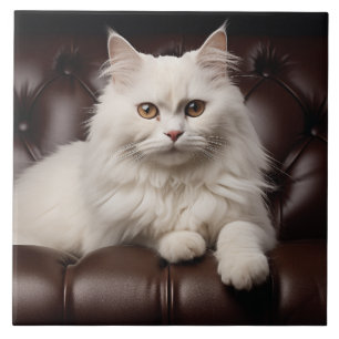 Majestic white cat ceramic tile