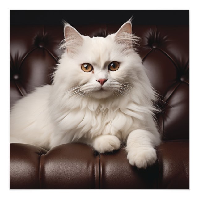 Majestic white cat photo print (Front)