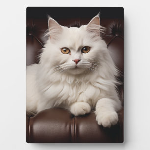Majestic white cat plaque