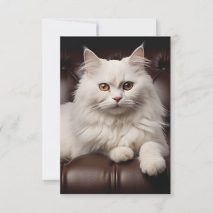 Majestic white cat save the date