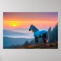 Majestic White Horse in the Mountain at Sunrise 2