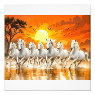 Majestic White Horses at Golden Sunrise Photo Print