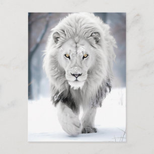 Majestic White Lion in Winter Wonderland Design Postcard