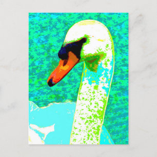 Majestic White Swan Head Postcard