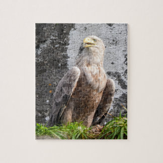 Majestic White Tailed Eagle Rugged Terrain Scenic  Jigsaw Puzzle