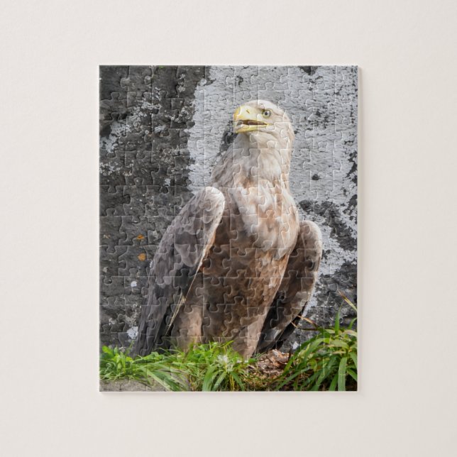 Majestic White Tailed Eagle Rugged Terrain Scenic  Jigsaw Puzzle (Vertical)