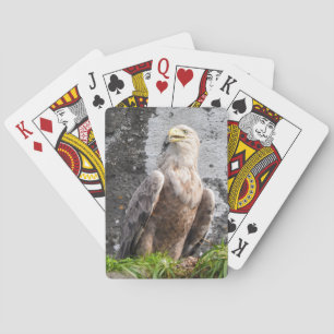 Majestic White Tailed Eagle Scottish Highlands Playing Cards