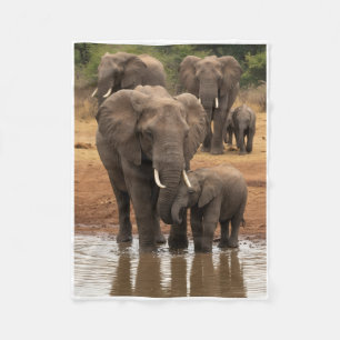 Majestic Wild Elephants With Calves By River Fleec Fleece Blanket