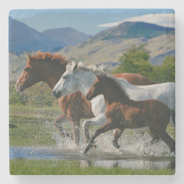 Majestic wild horses stone coaster (Front)