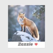 Majestic Winter Fox Photography