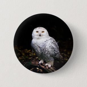 Majestic winter snowy owl 6 cm round badge