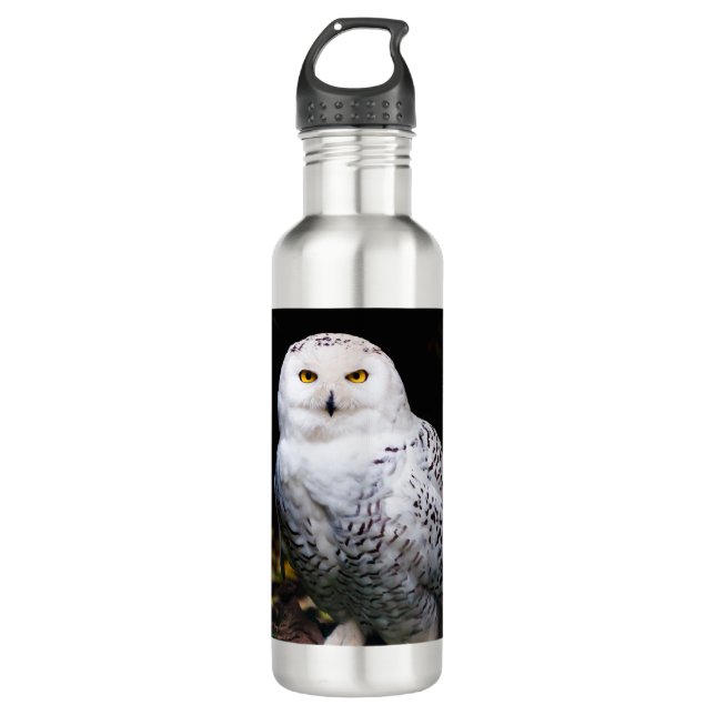 Majestic winter snowy owl 710 ml water bottle (Front)