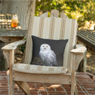 Majestic winter snowy owl cushion