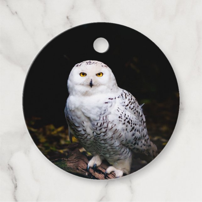 Majestic winter snowy owl favour tags (Front)