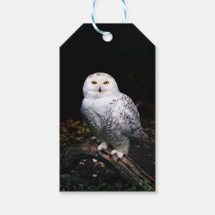 Majestic winter snowy owl gift tags