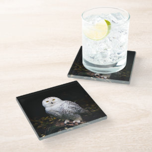 Majestic winter snowy owl glass coaster