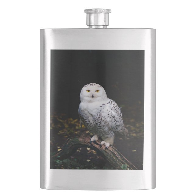 Majestic winter snowy owl hip flask (Front)