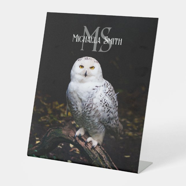 Majestic winter snowy owl monogram custom name pedestal sign (Front)