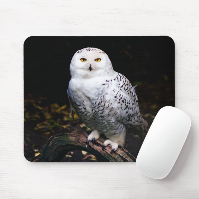 Majestic winter snowy owl mouse pad (With Mouse)