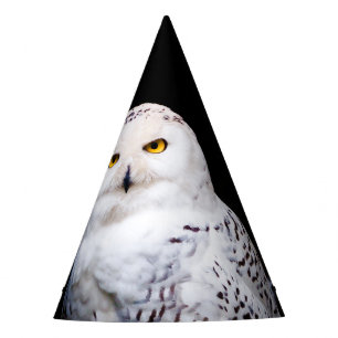 Majestic winter snowy owl party hat